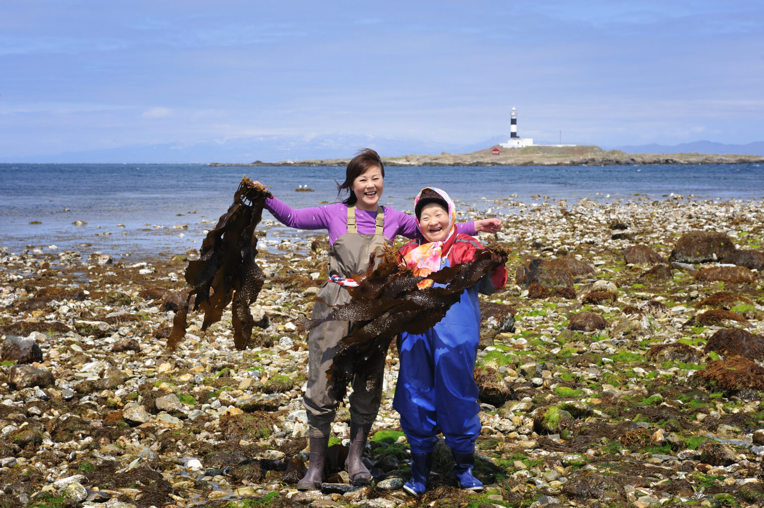 地域の海辺で食材に触れる人たち